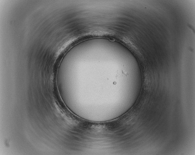 X0000103160440200809051703