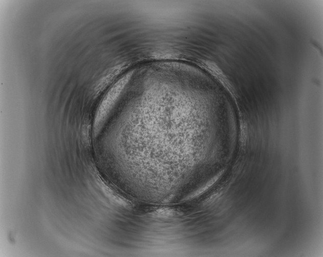 X0000103160441200809051703