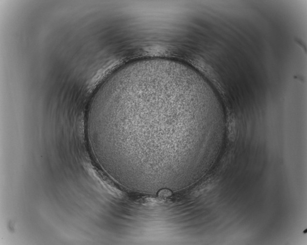 X0000103160442200809051703