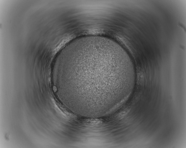 X0000103160443200809051703