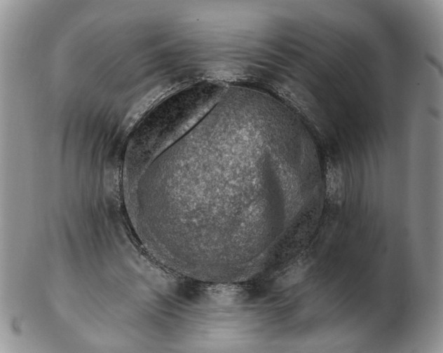 X0000103160444200809051703