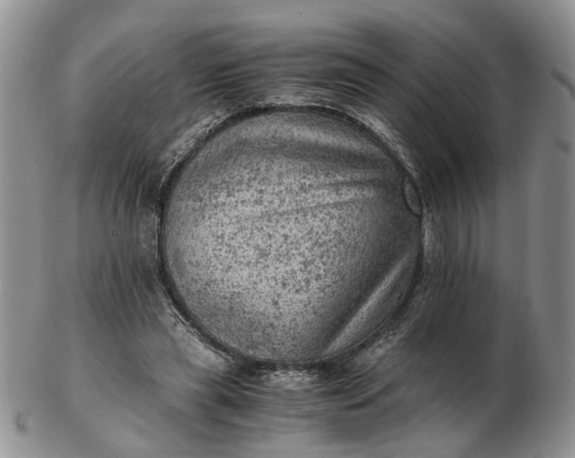 X0000103160445200809051703