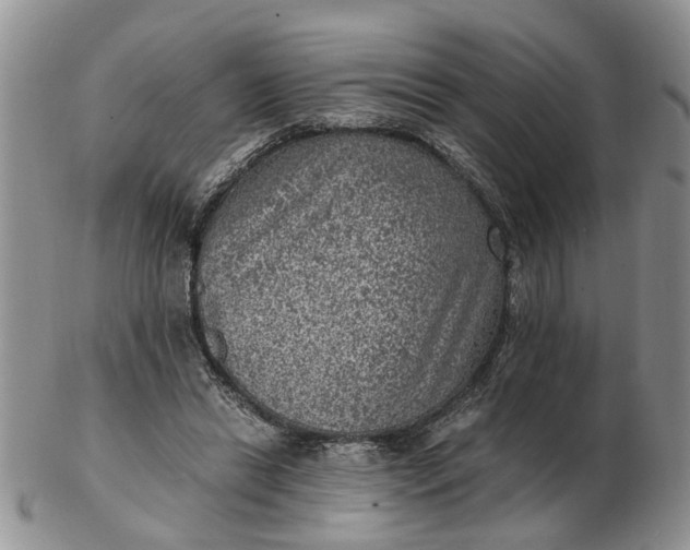 X0000103160446200809051703