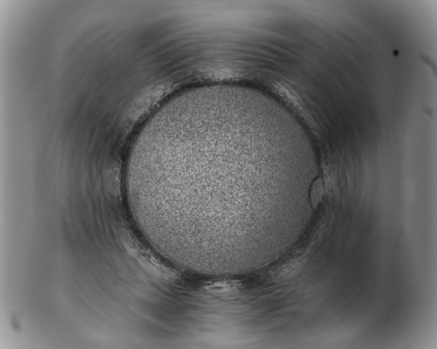 X0000103160447200809051703