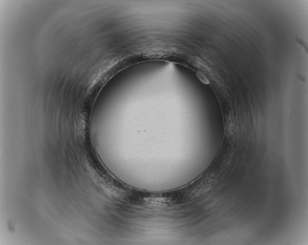 X0000103160448200809051703