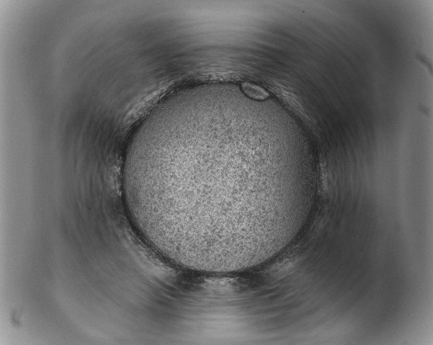 X0000103160450200809051703