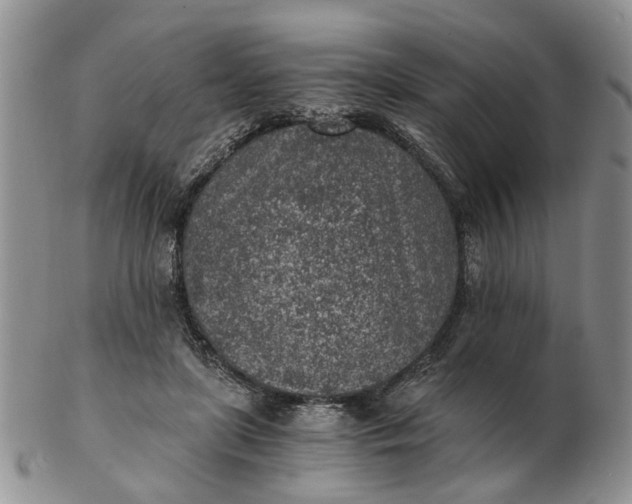 X0000103160451200809051703