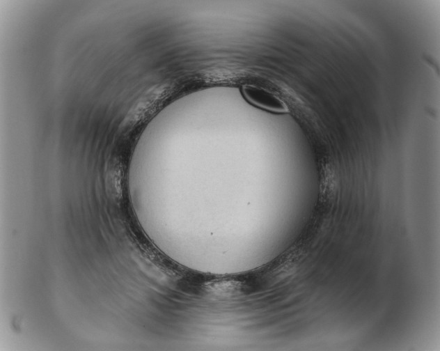 X0000103160452200809051703