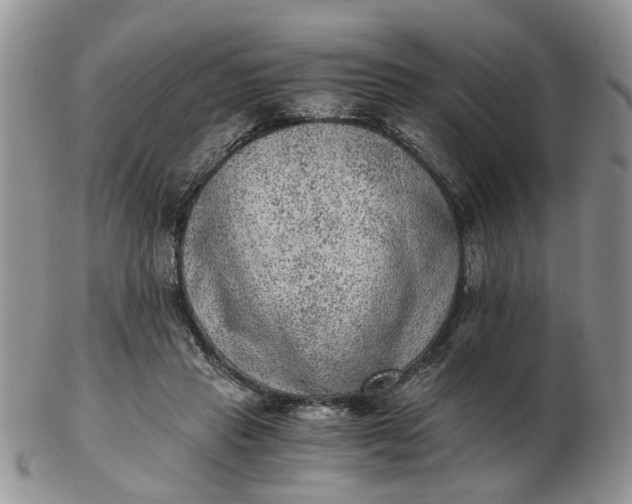 X0000103160453200809051703