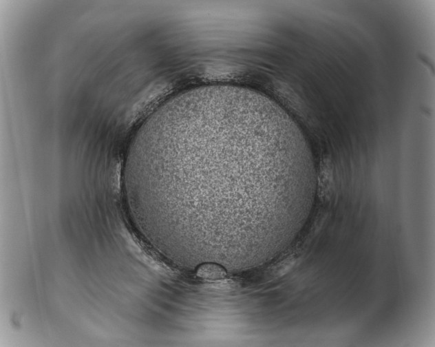 X0000103160454200809051703