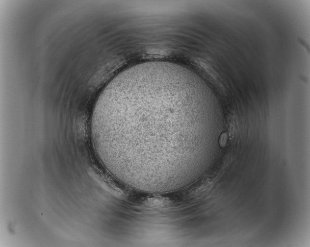 X0000103160455200809051703