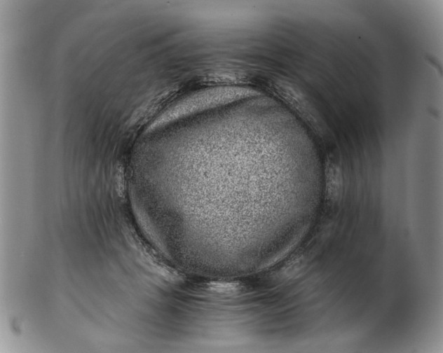 X0000103160457200809051703