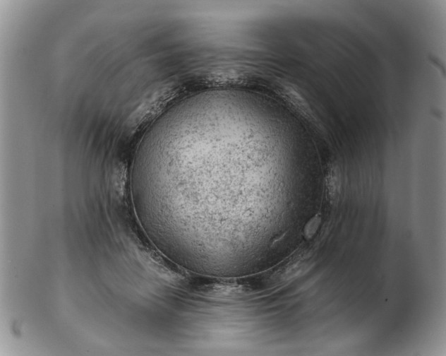 X0000103160458200809051703