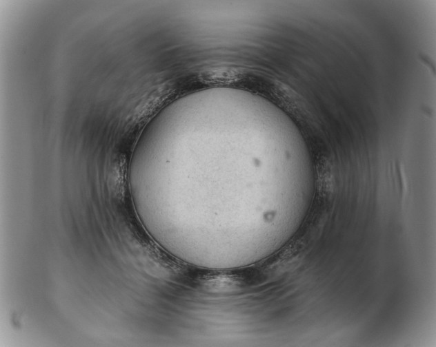 X0000103160460200809051703