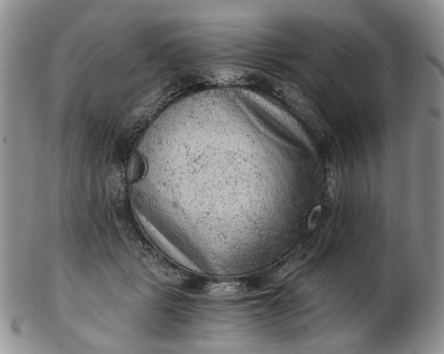 X0000103160461200809051703