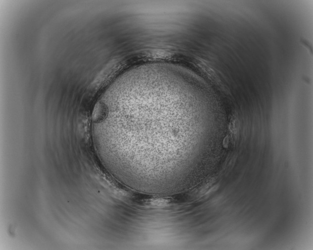 X0000103160462200809051703