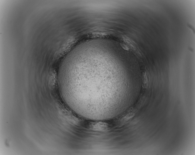 X0000103160463200809051703