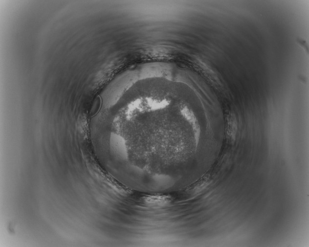 X0000103160465200809051703