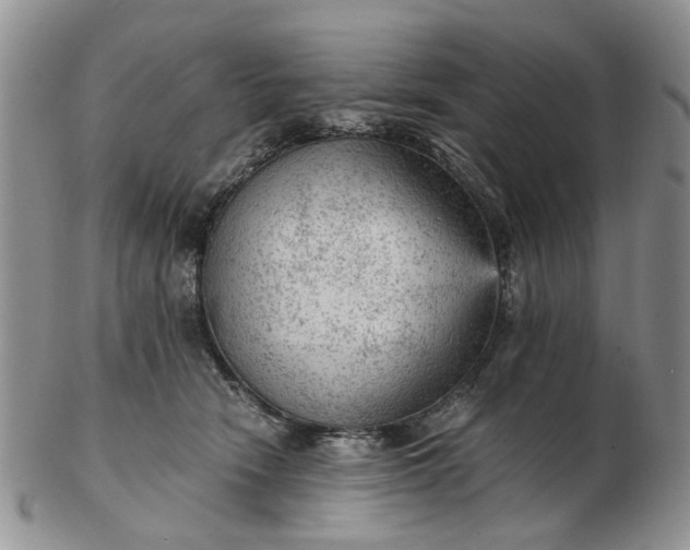 X0000103160466200809051703