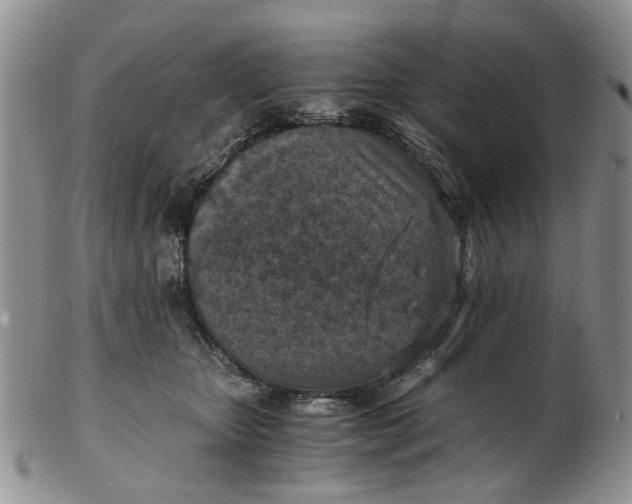 X0000103160467200809051703