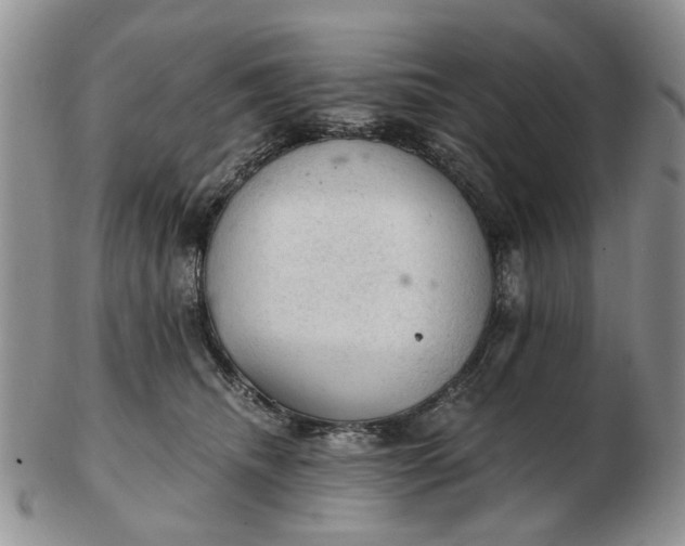 X0000103160468200809051703