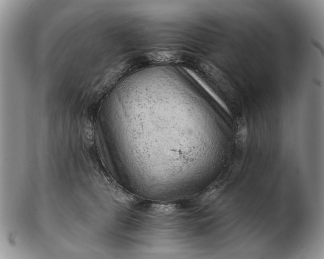 X0000103160469200809051703