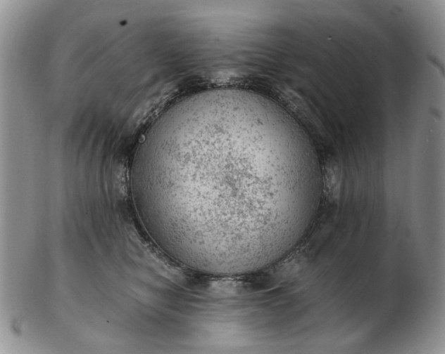 X0000103160470200809051703