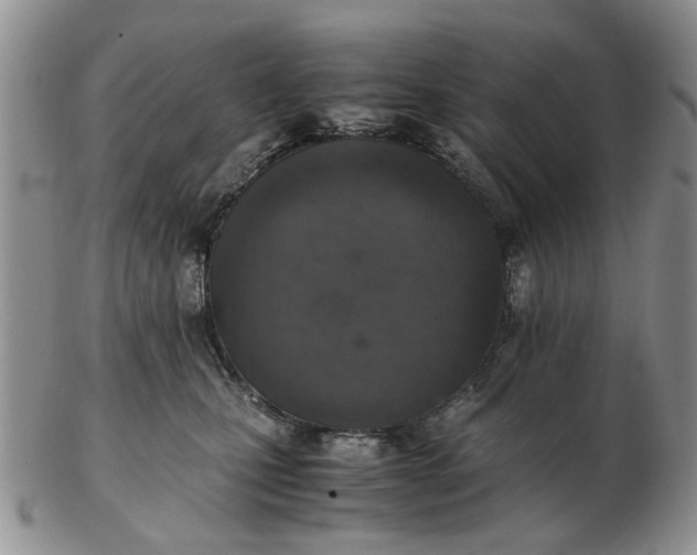 X0000103160471200809051703