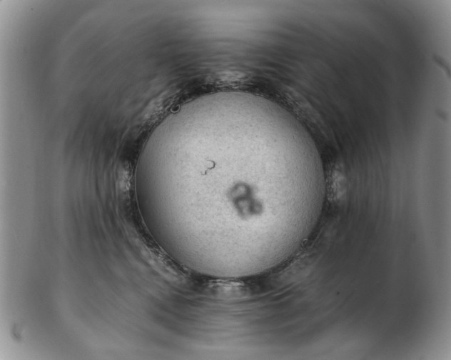 X0000103160472200809051703