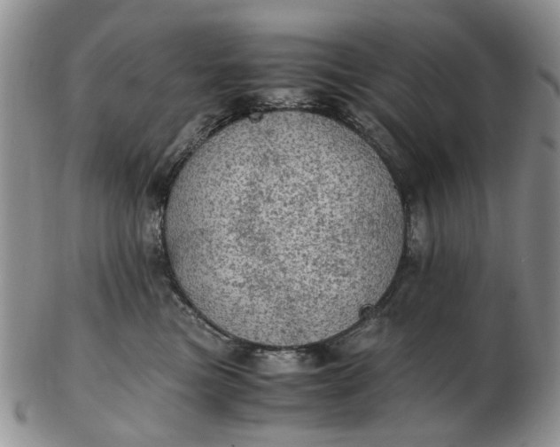 X0000103160473200809051703