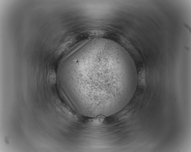 X0000103160474200809051703