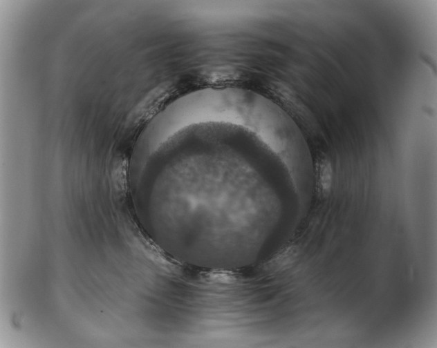 X0000103160475200809051703