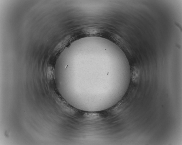 X0000103160476200809051703