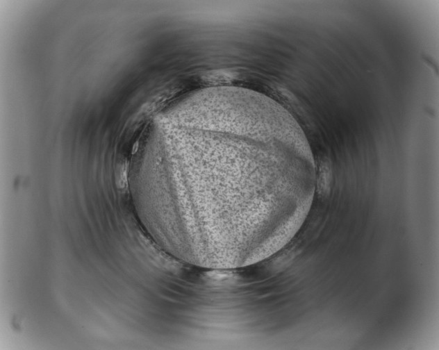 X0000103160477200809051703