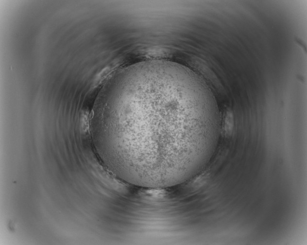 X0000103160478200809051703