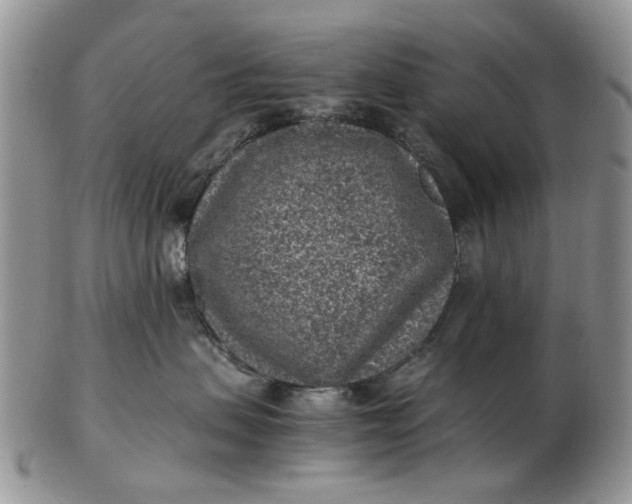 X0000103160479200809051703