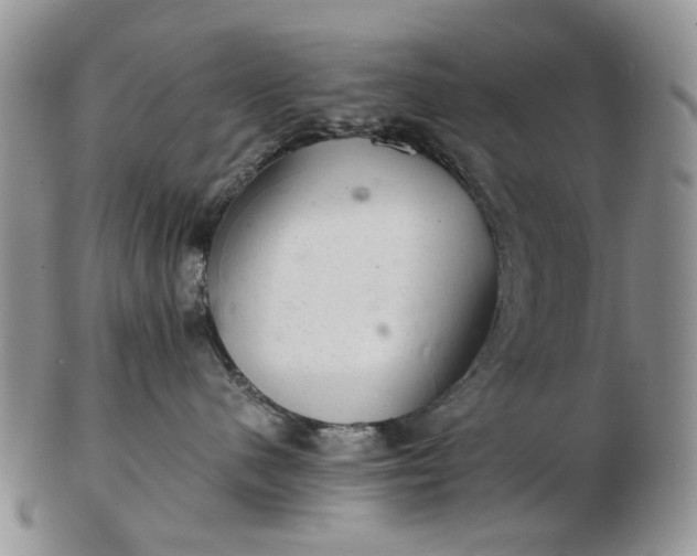 X0000103160480200809051703