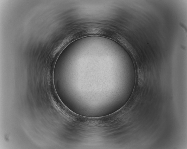 X0000103160482200809051703