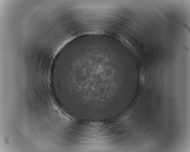 X0000103160484200809051703