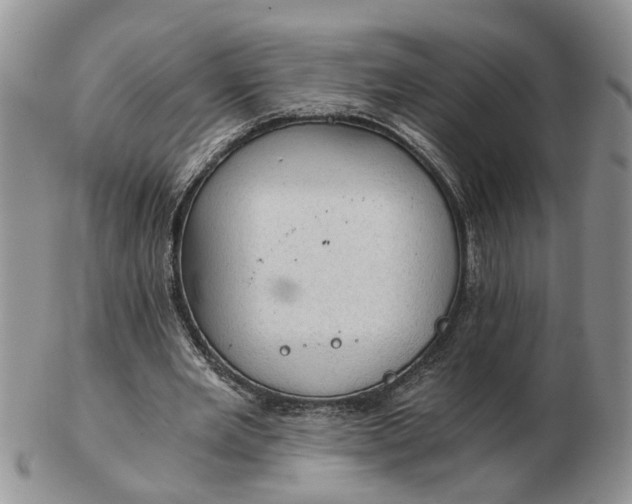 X0000103160485200809051703