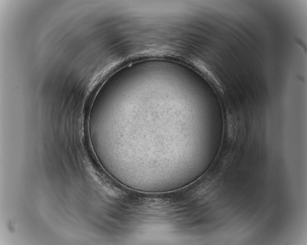 X0000103160486200809051703