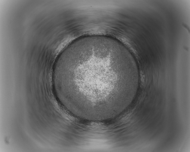 X0000103160487200809051703