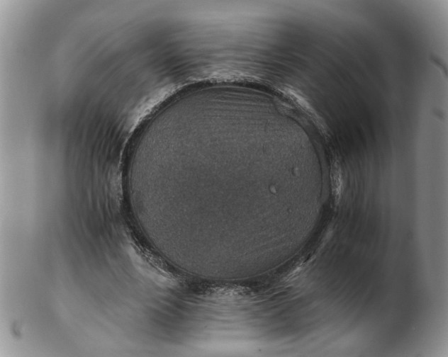 X0000103160488200809051703