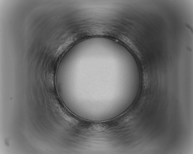 X0000103160489200809051703