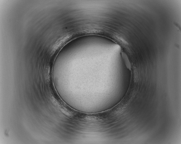 X0000103160490200809051703