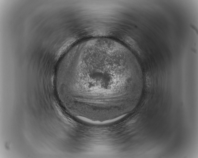 X0000103160491200809051703