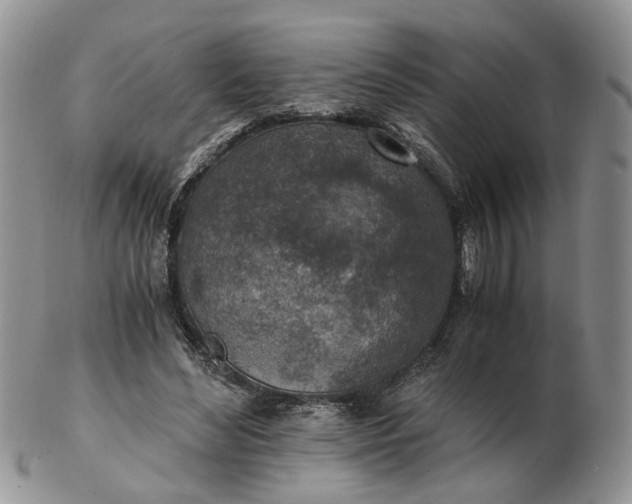 X0000103160492200809051703