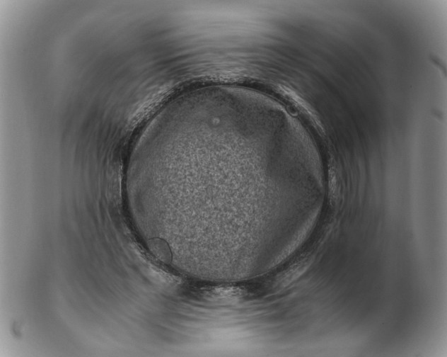 X0000103160493200809051703