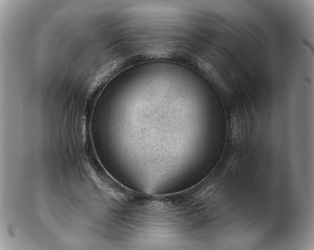 X0000103160494200809051702