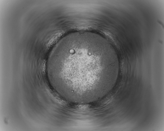 X0000103160495200809051702